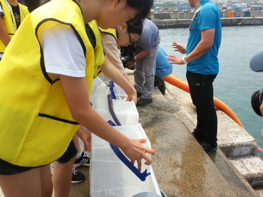 [2015.07.15] 참조기 어린물고기 방류체험행사