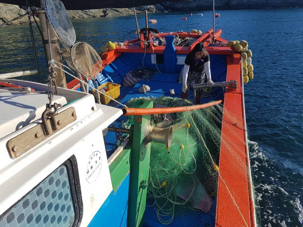 [2016.08.24.] 통영 연안바다목장 3/4분기 어획조사