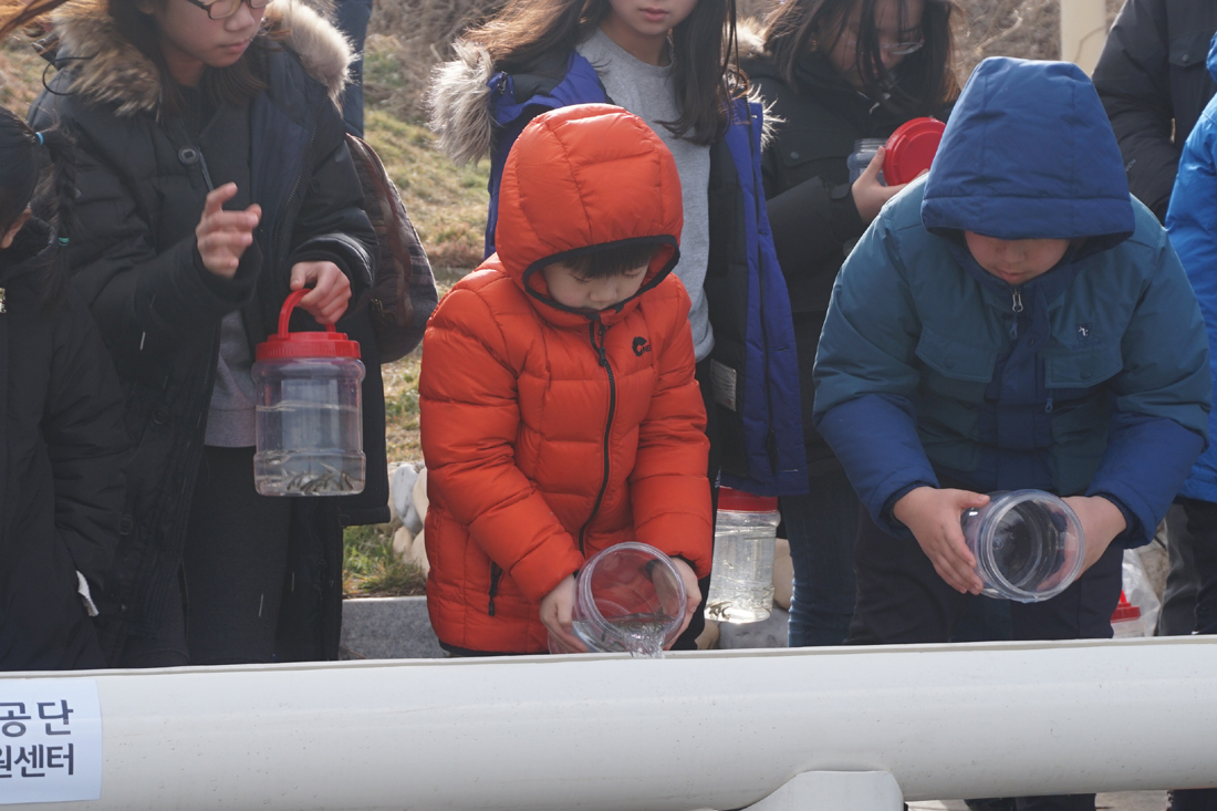 (2017.02.18)제6회 어린연어 보내기 생태체험행사 사진