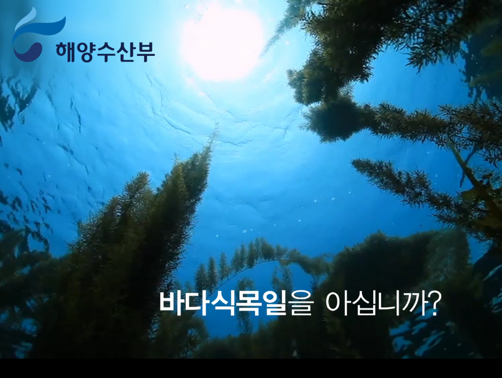 바다식목일 홍보 동영상