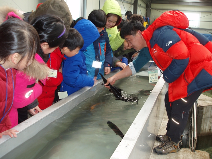 [2015.2.9] 제4회 어린연어 보내기 생태체험 행사