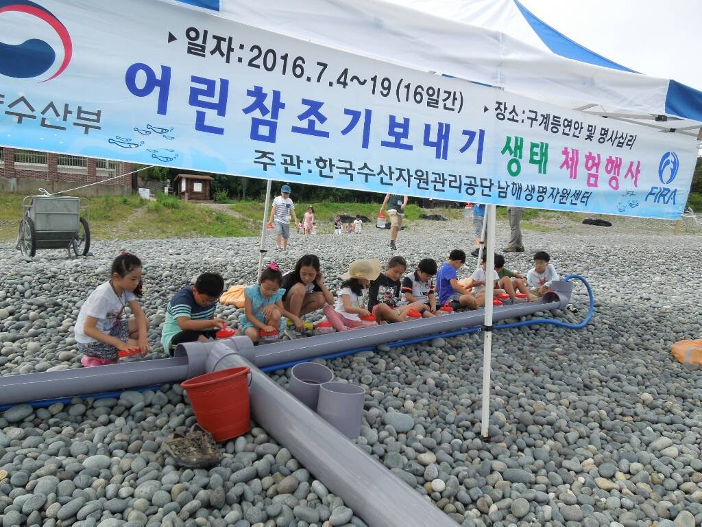 [2016.07.19.] 어린참조기 보내기 생태체험행사