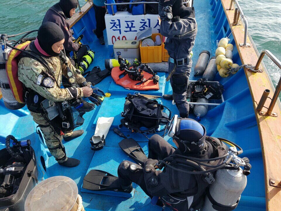 [2016.11.3] 남해바다숲 조성관리사업 모니터링