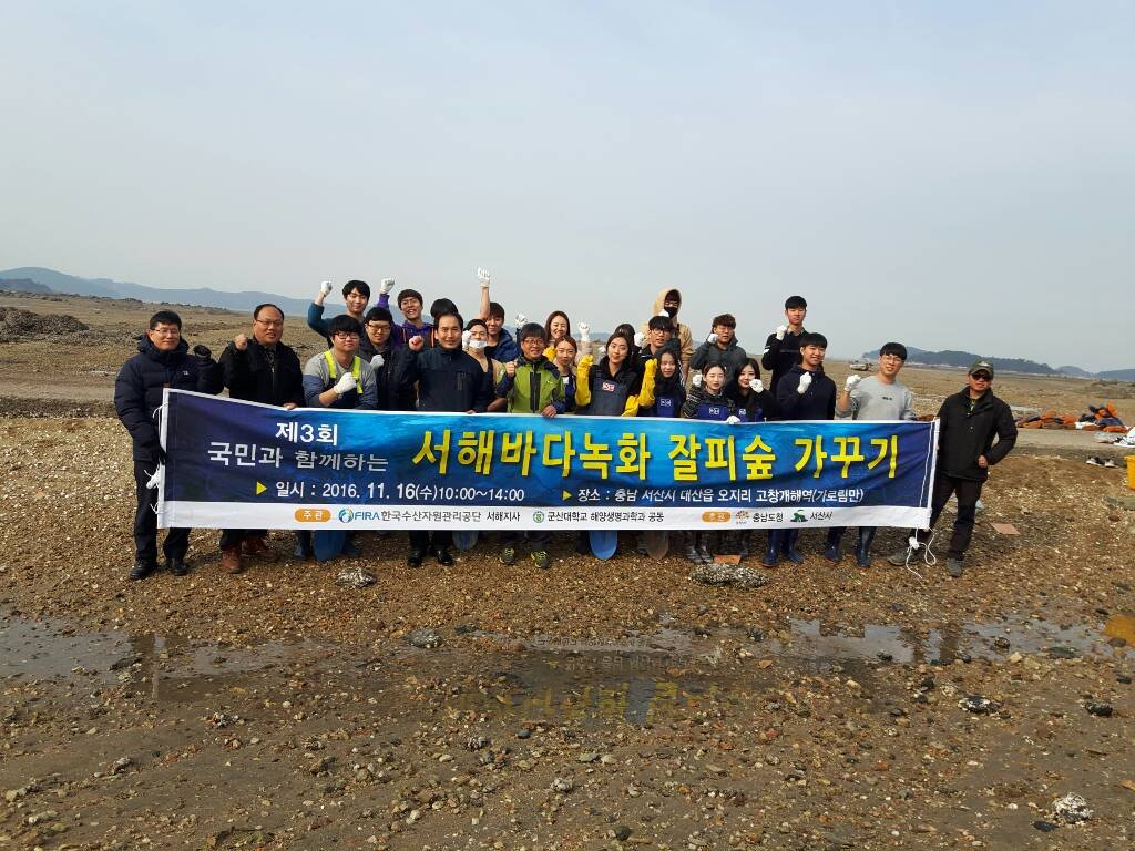 [2016.11.16.] 서해바다녹화 잘피숲 가꾸기