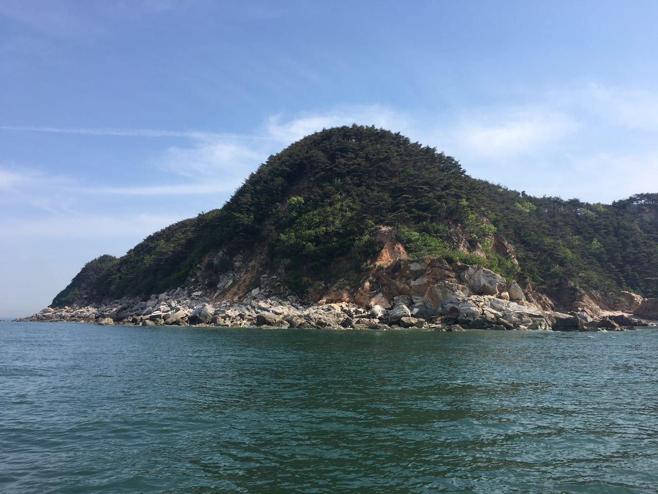 [2017.05.20.] 육도 바다숲 조성지 모니터링 