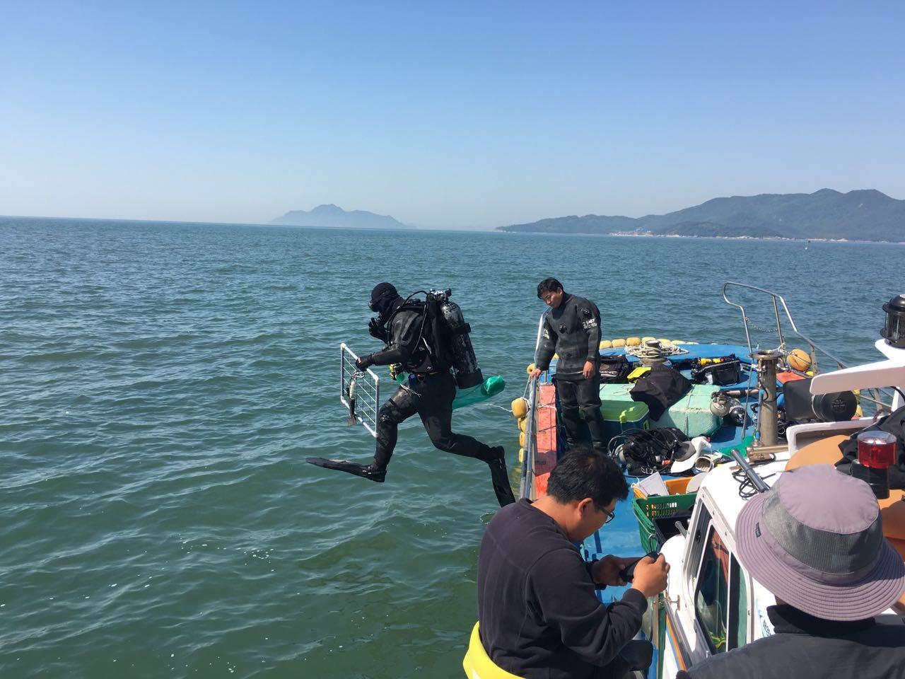 [2017.05.19.] 덕적도 바다숲 조성지 모니터링