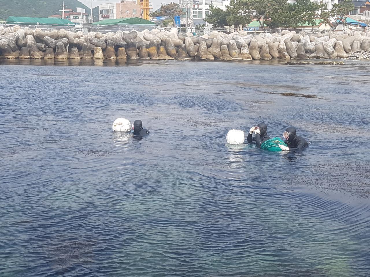 [2018.05.02.] 포항시 연안바다목장 사업 전복종자 방류