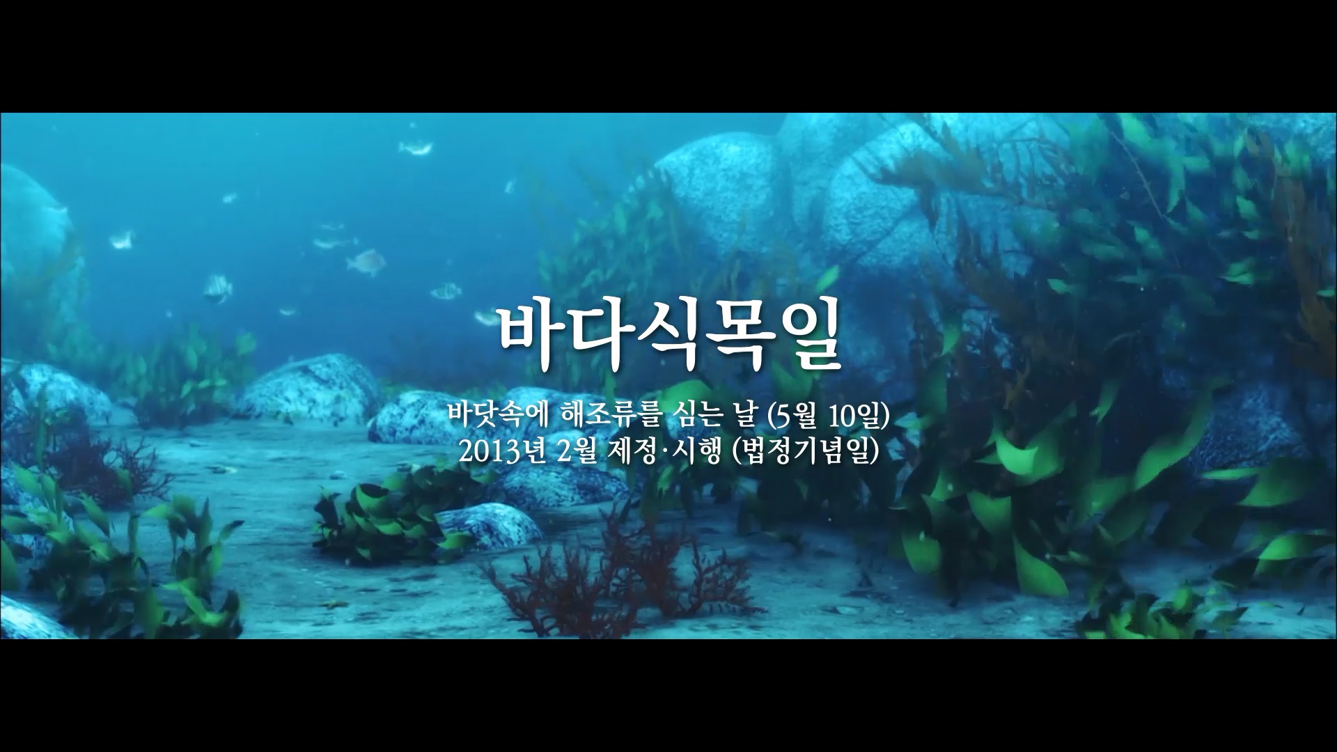 2018 한국수산자원관리공단 바다식목일 스팟 영상