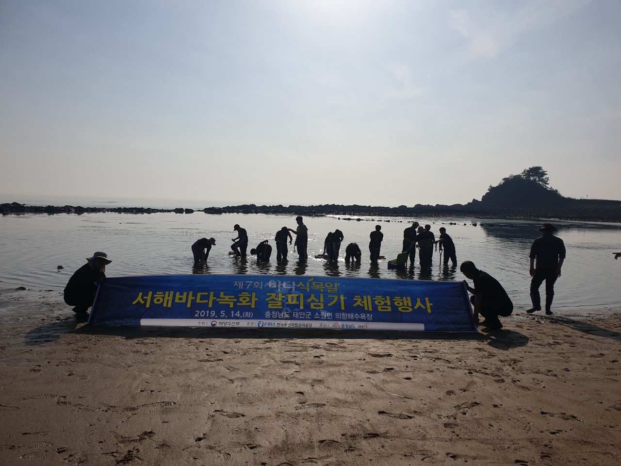 [19.5.14.] 서해본부, 제7회 바다식목일 서해바다녹화 잘피심기 행사 진행