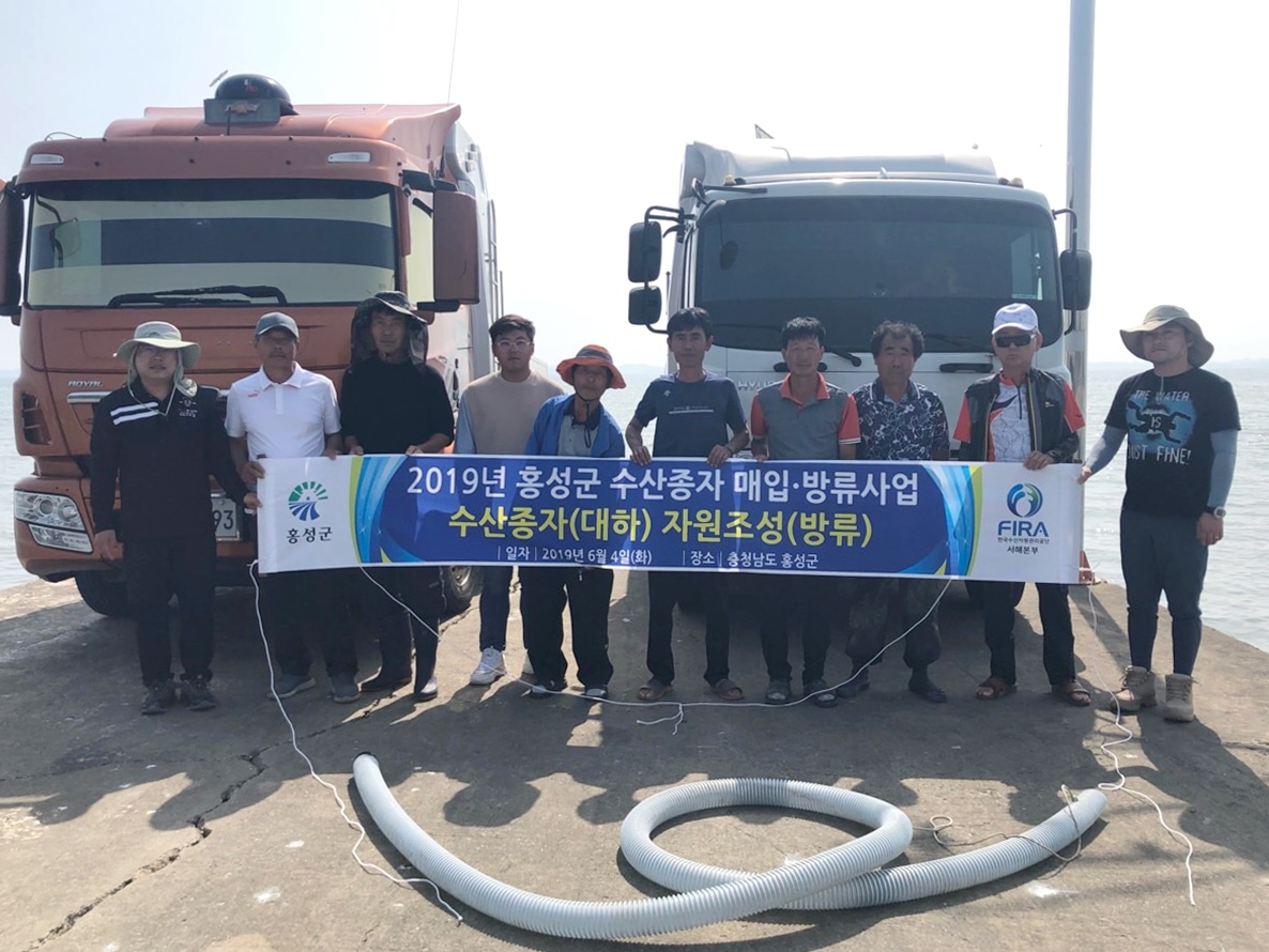 [19.6.4.] 2019년 홍성군 수산종자 매입·방류사업 실시