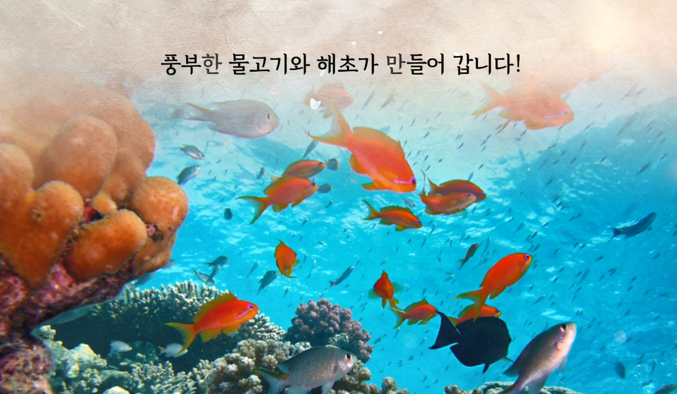 제7회 바다식목일 UCC부문 장려 : 오상우 - 바닷속 세상을 보호하자