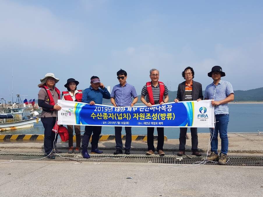 [19.7.16.] 2019년 태안 북부 연안바다목장 수산종자(넙치) 자원조성(방류) 