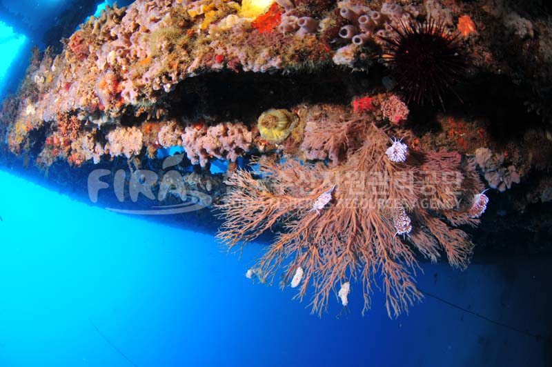 2012 Photo Contest