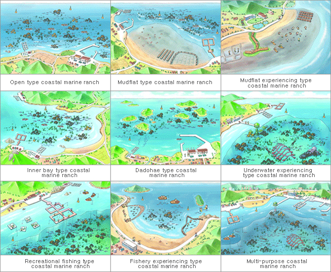 Open type coastal marine ranch Mudflat type coastal marine ranch Mudflat experiencing type coastal marine ranch Inner bay type coastal marine ranch Dadohae type coastal marine ranch Underwater experiencing type coastal marine ranch Recreational fishing type coastal marine ranch Fishery experiencing type coastal marine ranch Multi-purpose coastal marine ranch