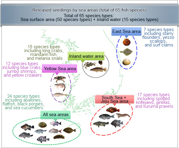 해역별 주 방류 어종(61종)
총 61종 : 해면(46종) + 내수면 (15종)
동해 해역 : 강도다리, 참가리비, 북방대합 등 5종
내수면 : 참게, 쏘가리, 다슬기 등 15종
서해 해역 : 꽃게, 대하, 참조기 등 10종
남해 + 제주 해역 : 쏨뱅이, 벵에돔, 보리새우 등 15종
전 해역 공통 : 전복, 넙치, 감성돔, 해삼 등 24종