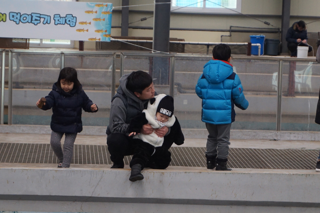 (2017.02.19)제6회 어린연어 보내기 생태체험행사 사진