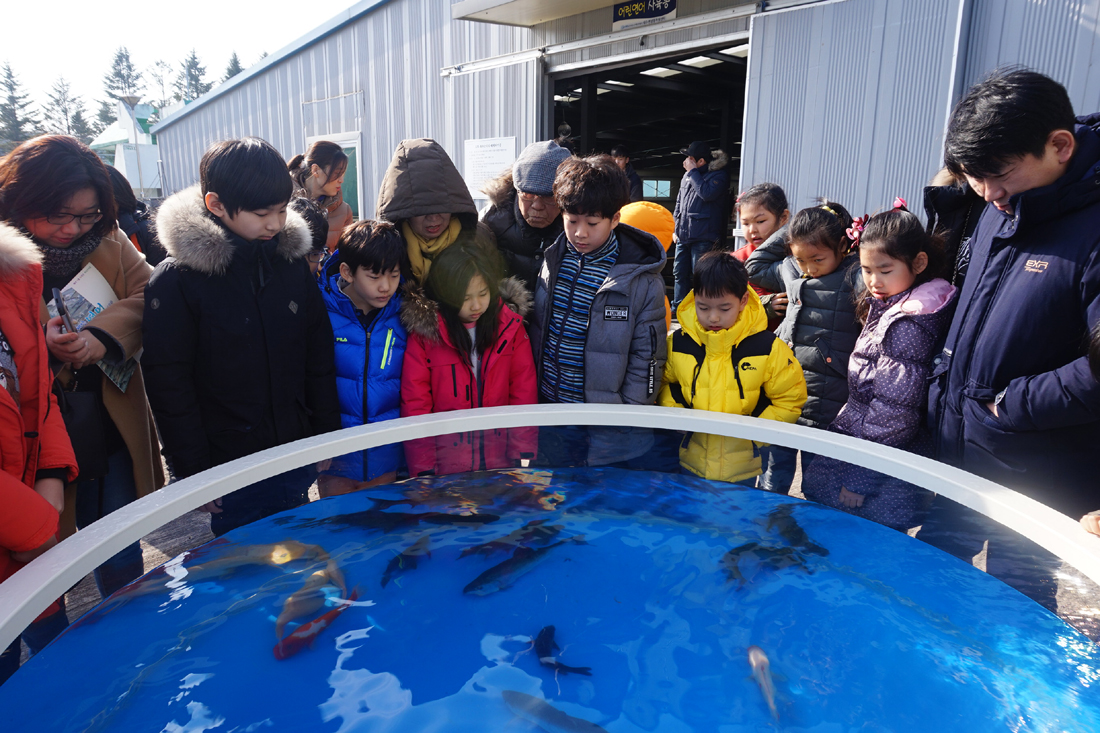 (2017.02.23) 제6회 어린연어 보내기 생태체험행사 사진
