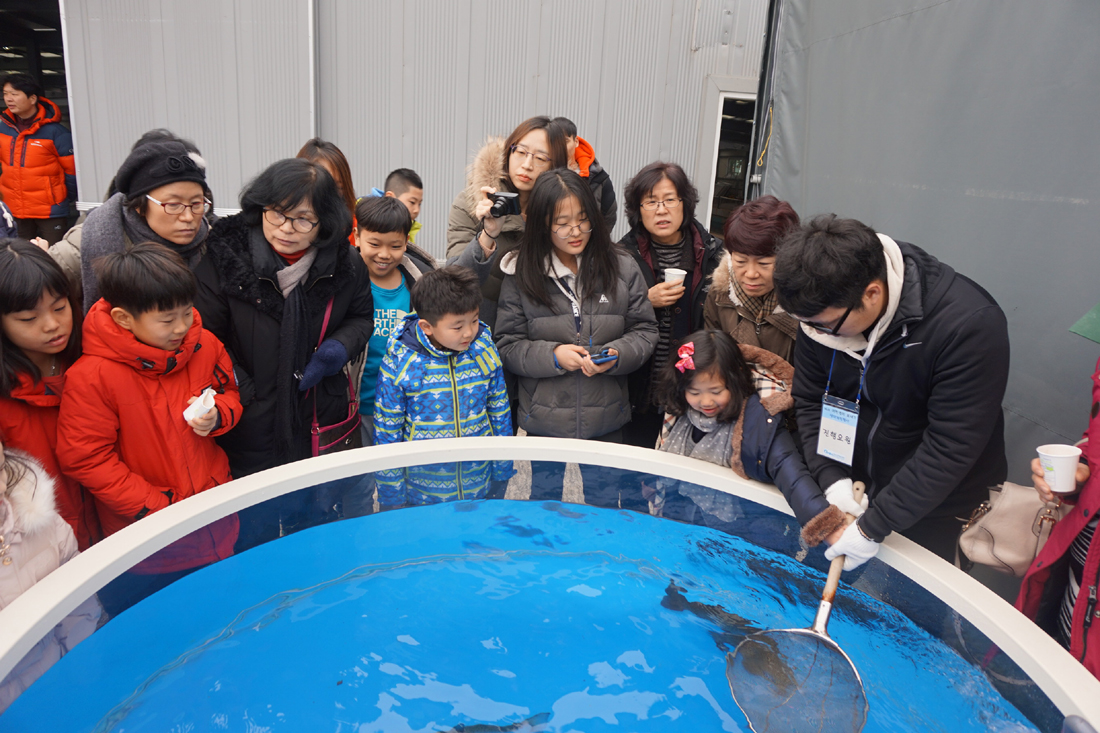 (2017.02.22) 제6회 어린연어 보내기 생태체험행사 사진