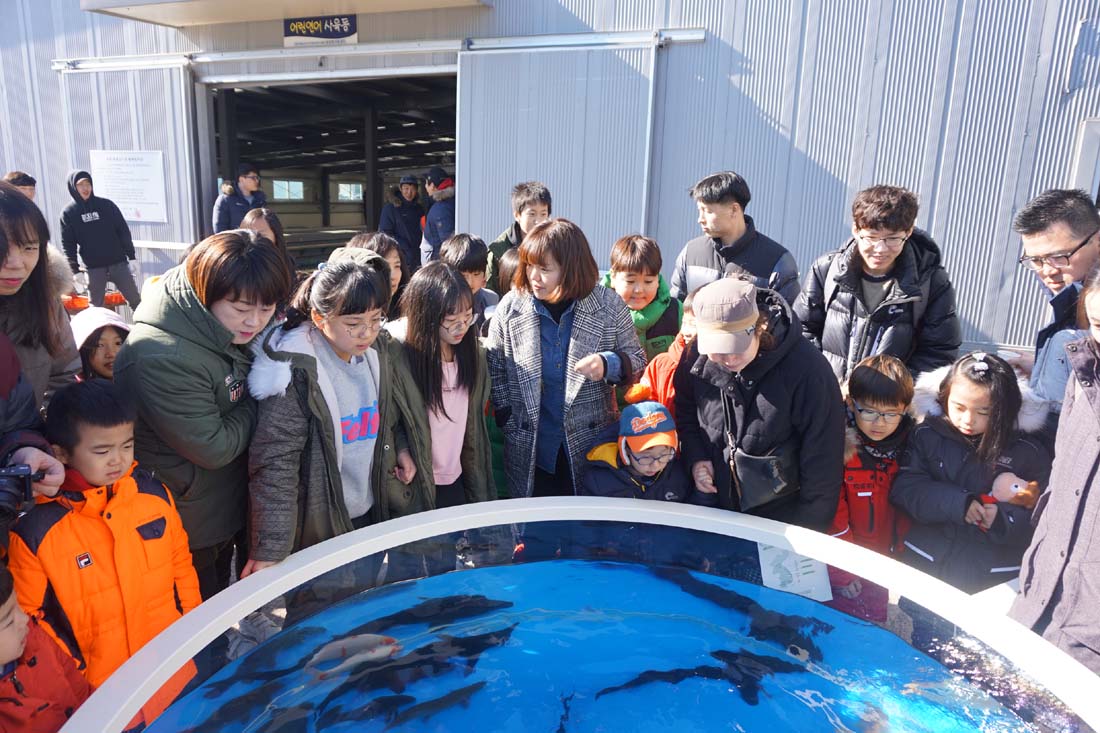 (2017.02.24) 제6회 어린연어 보내기 생태체험행사 사진