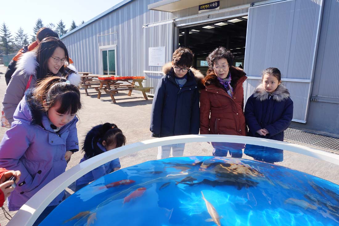(2017.02.25) 제6회 어린연어 보내기 생태체험행사 사진