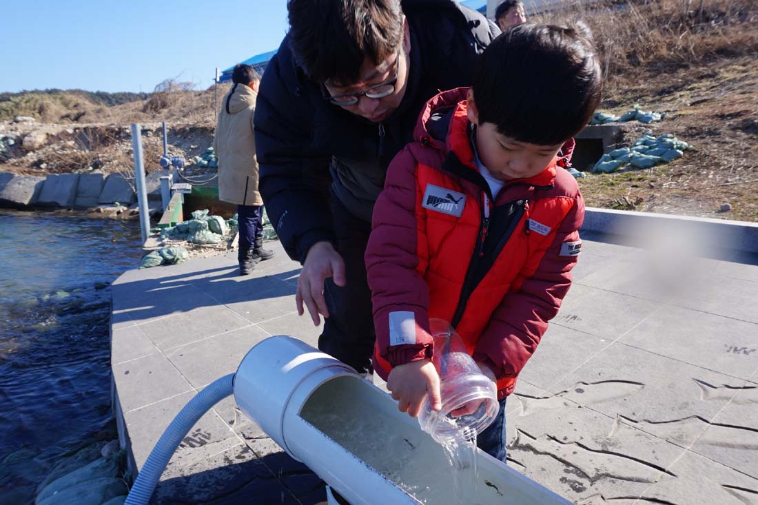 (2017.02.25) 제6회 어린연어 보내기 생태체험행사 사진