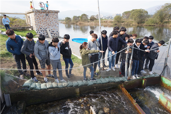 (2017.10.26)제7회 어미연어 맞이 체험행사