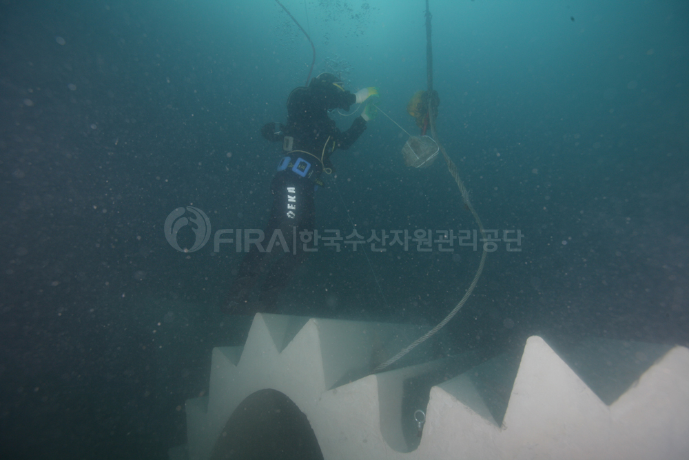 인공어초(아치형어초)를 수중에 시설하는 모습