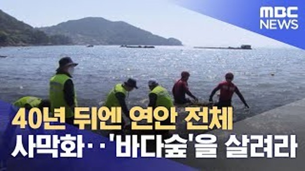 [22.5.9.]ㅣ MBC 뉴스투데이ㅣ40년 뒤엔 연안 전체 사막화‥'바다숲'을 살려라