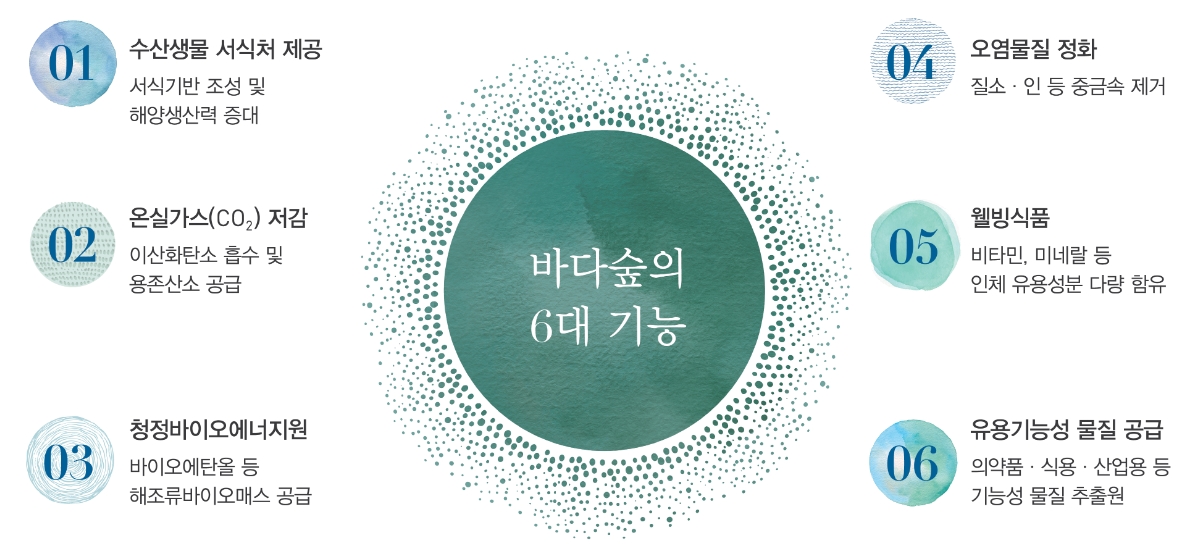 바다숲의 6대 기능. 01번 수산생물 서식처 제공. 서식기반 조성 및 해양생산력 증대 02번 온실가스(CO2)저감. 이산화탄소 흡수 및 용존산소 공급. 03번 청정바이오에너지원. 바이오에탄올등 해조류바이오매스 공급. 04번 오염물질 정화. 질소, 인 등 중금속 제거. 05번 웰빙식품. 비타민, 미네랄 등 인체 유용성분 다량 함유. 06번 유용기능성 물질 공급. 의약품,식용,산업용 등 기능성 물질 추출원