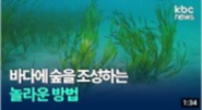 바다에 숲을 조성하는 놀라운 방법 KBS보도자료 이동