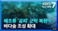 해조류 곰피 군락 복원 KBS보도자료 이동