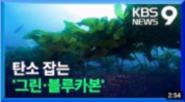 탄소 잡는 그린 블루카본 KBS보도자료 이동