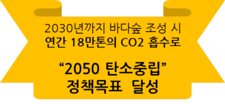 2030년까지 바다숲 조성 시, 연간 18만톤의 CO2흡수로 "2050탄소중립" 정책목표 달성