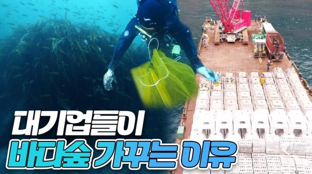 [23.07.27.] 포항MBC_이젠 '지구 열대화' 시대? 바다숲에 주목하라!│시사날