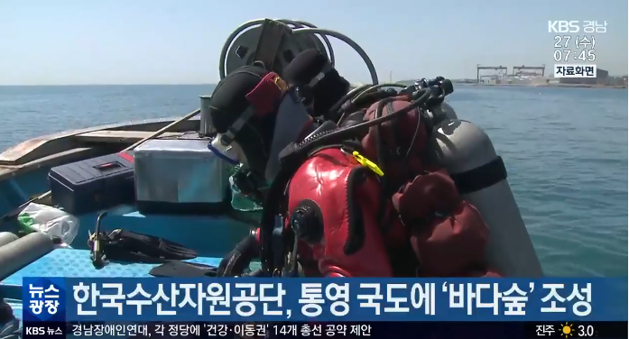 [24.03.27.][KBS]한국수산자원공단, 통영 국도에 ‘바다숲’ 조성