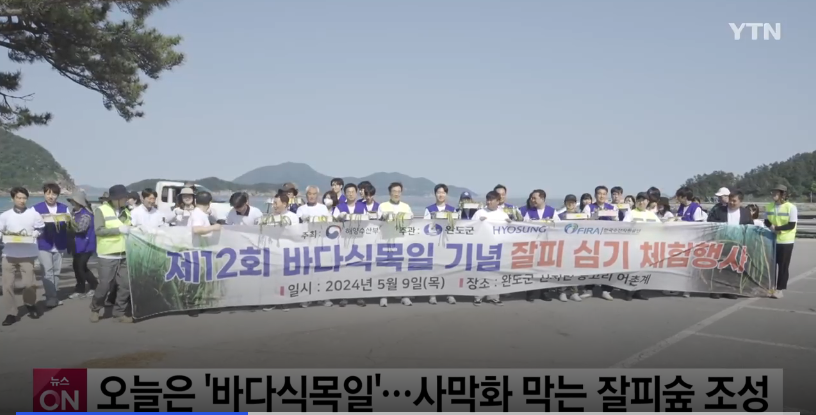 [24.05.10][YTN][기업] 오늘은 '바다식목일'...사막화 막는 잘피숲 조성