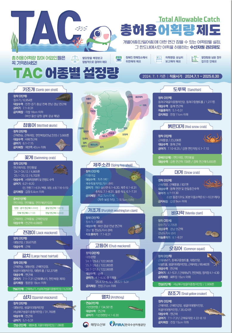 총허용어획량제도(Total Allowable Catch) : 개별어종(단일어종)에 대한 연간 잡을 수 있는 어획량을 설정, 그 한도내에서만 어획을 허용하는 수산자원 관리제도
총허용어획량 참여어업인들은 꼭 기억하세요 : 할당량을 배정받고 합법적으로 잡아야 해요. 정해진 판매장소에서 위판해야 해요. 어획량을 성실히 보고해야 해요. 할당량을 넘을 경우 잡으면 안돼요.
2022년~2023년 TAC 어종별 설정량(적용시기 : 2022.7.1 ~ 2023.6.30)
참홍어(Mottled skate)
 · 근해연승, 연안복합 / 802톤 
 · 대상수역 : 서해 북위 37도 이북해역, 흑산도 근해 
 · 인천광역시장 및 전남도지사 관리
 · 금어기 : 6.1~7.15
 · 금지체장 : 체반폭 42cm 이하
키조개(Comb pen shell)
 · 잠수기 / 6,905톤
 · 대상수역 : 인천,경기, 충남, 전북, 전남,  경남 연근해
 · 금어기: 7.1~8.31
 · 금지체장 : 각장 18cm 이하 (부산·울산 강원 경북 경남 해당)
붉은대게(Red snowcrab)
 · 근해통발 / 22,283톤
 · 대상수역 : 동해 근해 
 · 금어기 : 7.10~8.25, 강원 연안자망 6.1~7.10
도루묵(Sandfish)
 · 동해구외끌이중형저인망
 · 동해구중형트롤/2,787톤
 · 대상수역 : 동해 연근해
 · 자율휴어기 : 5.1~5.31
 · 금지체장 : 전장 11cm 이하
고등어(Chub mackerel)
 · 대형선망 / 145,905톤
 · 대상수역 : 근해 
· 금어기 : 4.1~6.30 중 1개월(`23.5~6.3/`24.4.23~5.22) 
 · 금지체장 : 전장 21cm 이하
대게(Snow crab)
 · 근해자망, 근해통발 / 978톤
 · 대상수역 : 동해 연안 및 한일중간수역
 · 금어기 : 6.1~11.30 (다만 동경 131도 30분 이동수역은 6.1~10.31까지)
 · 금지체장 : 갑장 9cm 이하
제주소라(Spiny top shell)
 · 마을어업
 · 대상수역 : 제주도 연안
 · 제주특별자치도지사 관리
 · 금어기 : 6.1~8.31, 추자도 7.1~9.30 / 울릉도·독도 6.1~9.30 
 · 금지체장 : 각고 7cm 이하(제주 · 울릉 해당, 그 외 5cm 이하)
바지락(Manila clam)
 · 잠수기/1,289톤 
 · 대상수역 : 경남 거제 장목 저도, 주변해역(825ha)
 · 경남도지사 관리
 · 자율휴어기 : 거제 8.1~8.31
전갱이(Jack mackerel)
 · 대형선망 / 41,024톤
 · 대상수역 : 근해
오징어(Common squid)
 · 근해채낚기, 동해구중형트롤, 대형선망, 대형트롤, 쌍끌이대형저인망 / 86,590톤
 · 대상수역 : 연근해
 · 금어기 : 4.1~5.31 /근해채낚기, 연안복합 4.1~4.30
 · 금지체장 : 외투장 15cm 이하
개조개(Purplish washington clam)
 · 잠수기/882톤
 · 대상수역 : 부산·경남·전남 연근해
 · 경남 및 전남도지사 관리
 · 자율휴어기:7.1~8.31
꽃게(Swimmingcrab)
 · 연근해자망, 연안통발 / 5,444톤
 · 대상수역 : 서해특정해역 및 연평도 수역 
 · 금어기 : 일반, 특정해역 6.21~8.20 / 연평어장, 백령도, 대청도, 소청도 주변해역 7.1~8.31 
 · 금지체장 : 갑장 6.4cm 이하
삼치(Spanish mackerel) 
 · 대형선망, 쌍끌이대형저인망, 서남해구쌍끌이중형저인망 / 31,020톤
 · 대상수역 : 연근해
 · 금어기 : 5.1~5.31
갈치(Large head hairtail)
 · 근해연승, 대형선망, 근해안강망, 쌍끌이대형저인망, 대형트롤 / 49,098톤
 · 대상수역 : 연근해
 · 금어기: 7.1~7.31 (근해채낚기, 연안복합 제외)
 · 금지체장 : 항문장 18cm 이하
참조기(Small yellow croaker)
 · 근해자망, 근해안강망, 쌍끌이대형저인망, 외끌이대형저인망 / 55,303톤
 · 대상수역 : 연근해 
 · 금어기: 7.1~7.31, 근해유자망 4.22~8.10 
 · 금지체장 : 전장 15cm 이하
멸치(Anchovy)
 · 기선권현망 / 129,893톤
 · 대상수역 : 연근해 
 · 금어기: 기선권현망 4.1~6.30 해양수산부. FIRA한국수산자원공단