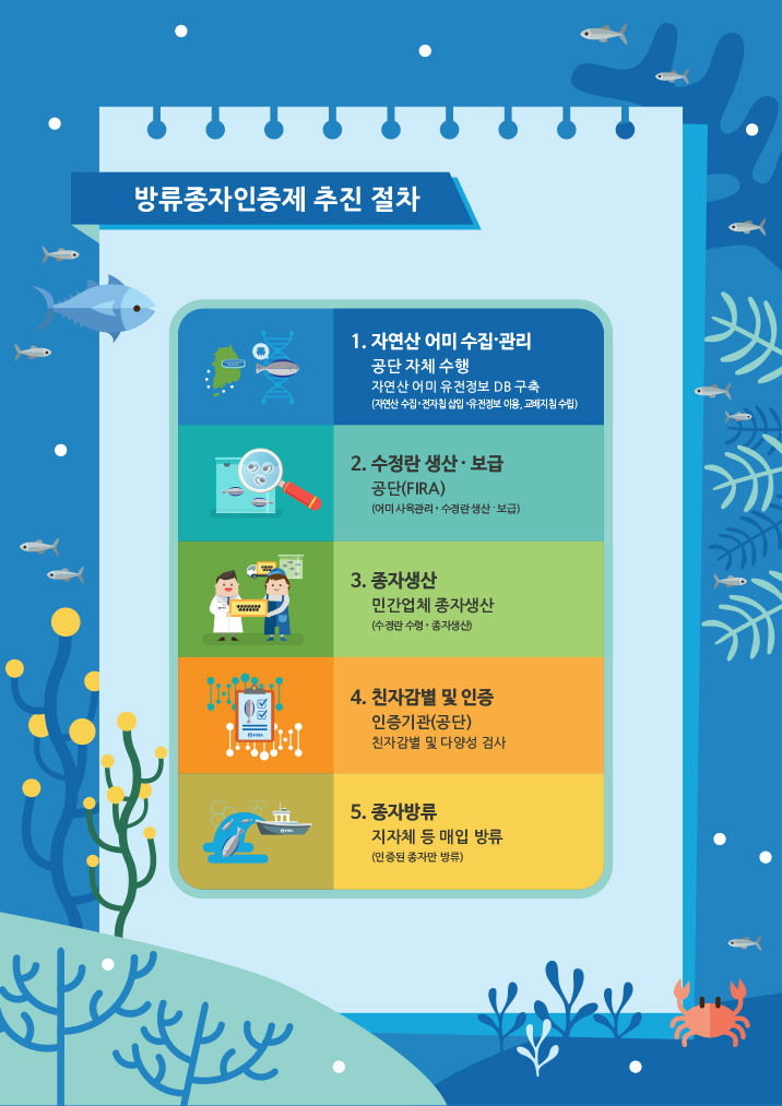 방류종자인증제 추진 절차
1. 자연산 어미 수집 관리 : 공단 자체 수행 자연산 어미 유전정보 DB 구축 (자연산 수집 · 전자칩 삽입 유전정보 이용, 교배지침 수립)
2. 수정란 생산 · 보급 : 공단(FIRA) (어미 사육관리 · 수정란생산 보급)
3. 종자생산 : 민간업체 종자생산 (수정란 수령 · 종자생산)
4. 친자감별 및 인증 : 인증기관(공단) 친자감별 및 다양성 검사
5. 종자방류 : 지자체 등 매입 방류 (인증된 종자만 방류)