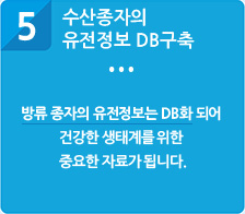 방류종자인증제의 기대효과 5. 수산종자의 유전정보 DB구축 : 방류 종자의 유전정보는 DB화 되어 건강한 생태계를 위한 중요한 자료가 됩니다.