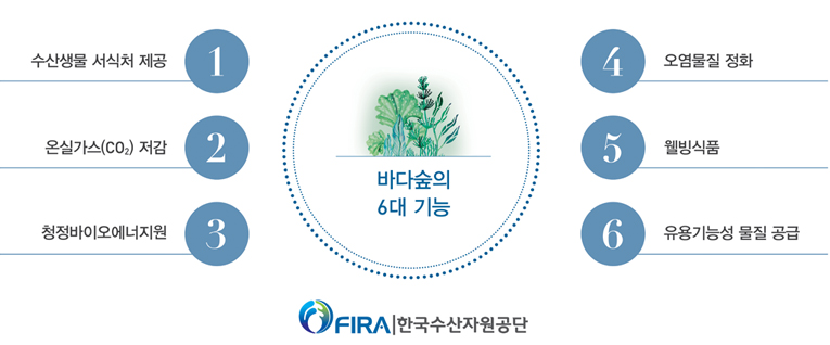 바다숲의 6대 기능 ①수산생물 서식처 제공 ②온실가스저감 ③청정바이오에너지원 ④오염물질 정화 ⑤웰빙식품 ⑥유용기능성 물질 공급