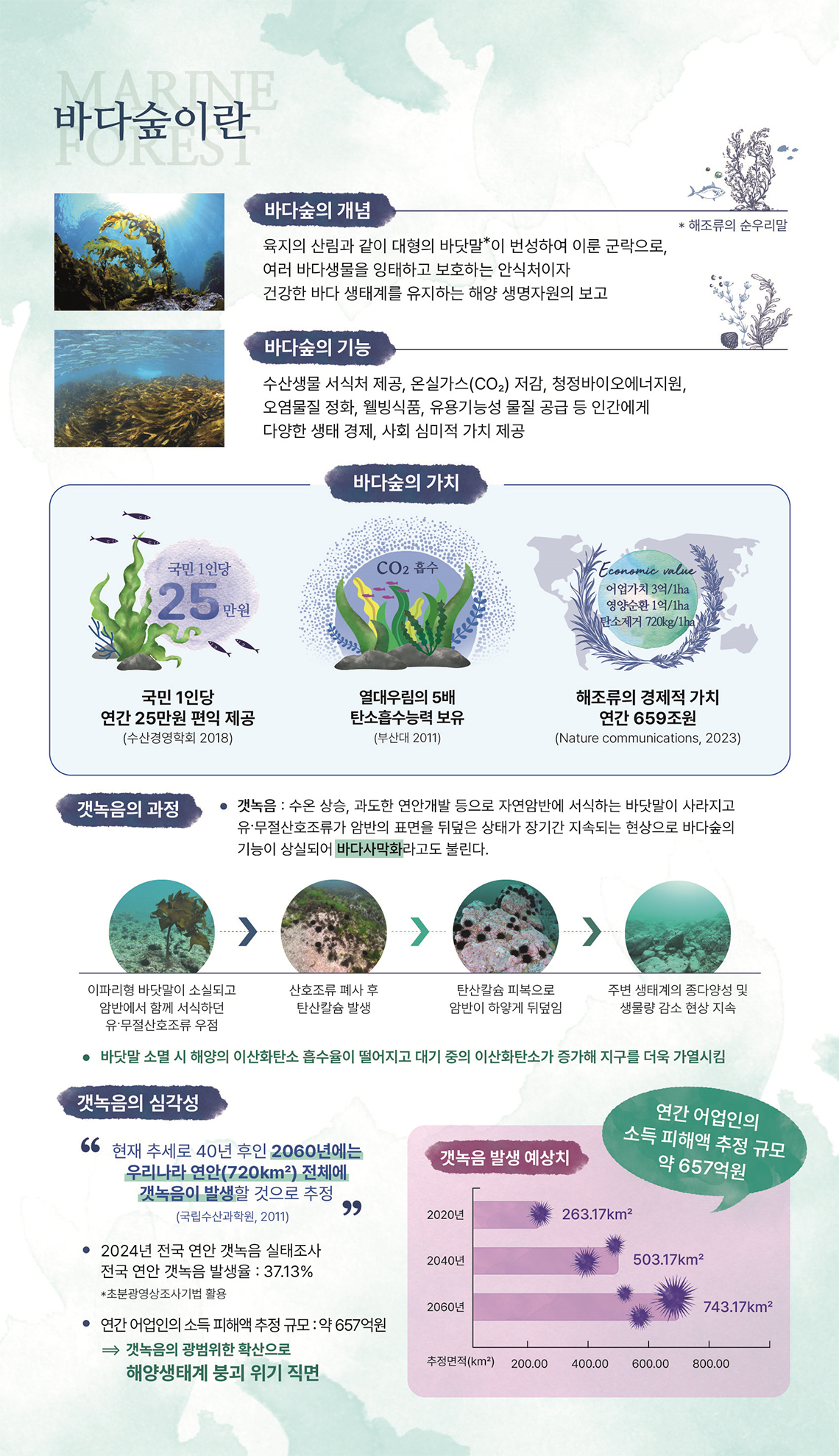 바다숲이란 바다숲의 개념:육지의 산림과 같이 대형의 바닷말*이 번성하여 이룬 군락으로, 여러 바다생물을 잉태하고 보호하는 안식처이자 건강한 바다 생태계를 유지하는 생명자원의보고 *바닷말=해조류의 순 우리말 바다숲의 기능:수산생물 서식처 제공, 온실가스(CO2) 저감, 청정바이오에너지원, 오염물질 정화, 웰빙식품, 유용기능성 물질 공급 등 인간에게 다양한 생태 경제, 사회 심미적 가치 제공
바다숲의 가치:국민 1인당 연간 25만원의 편익 제공(수산경영학회 2018), 열대우림의 5배 탄소흡수능력 보유(부산대 2011), 해조류의 경제적 가치, 연간 659조원(Nature communications, 2023)
갯녹음의 과정:이파리형 바닷말이 소실되고 암반에서 함께  서식하던 유,무절산호조류 우점 > 산호조류 폐사 후 탄산칼슘 발생 > 탄산칼슘 피복으로 암반이 하얗게 뒤덮임 > 주변 생태계의 종다양성 및 생물량 감소 현상 지속
-갯녹음: 수온 상승, 과도한 연안개발 등으로 자연암반에 서식하는 바닷말이 사라지고 유,무절산호조류가 암반의 표면을 뒤덮은 상태가 장기간 지속되는 현상으로 바다숲의 기능이 상실되어 바다사막화라고도 불린다.
-바닷말 소멸 시 해양의 이산화탄소 흡수율이 떨어지고 대기 중의 이산화탄소가 증가해 지구를 더욱 가열시킴
갯녹음의 심각성:현재 추세로 40년 후인 2060년에는 우리나라 연안(720㎢) 전체에 갯녹음이 발생할 것으로 추정(국립수산과학원, 2011)
-2024년 전국 갯녹음 실태조사 전국 연안 갯녹음 발생율:37.13% *초분광영상조사기법 활용
-연간 어업인의 소득 피해액 추정 규모:약657억원 => 갯녹음의 광범위한 확산으로 해양생태계 분괴 위기 직면 (갯녹음 발생 예상치 - 2020년:263.17㎢, 2040년:503.17㎢, 2060년:743.17㎢)