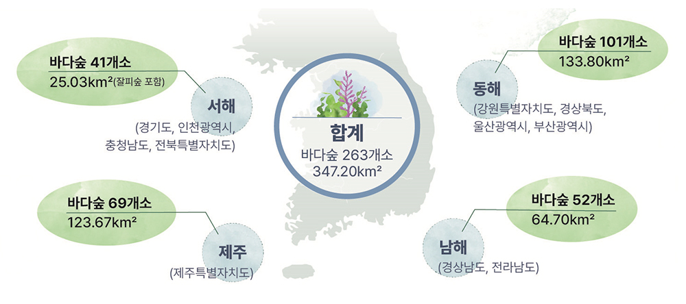 조성현황: 2024년 기준 전국 연안에 347.20㎢의 바다숲 조성 동해(강원특별자치도, 경상북도, 울산광역시, 부산광역시)-바다숲 101개소 133.80㎢, 남해(경상남도, 전라남도)-바다숲 52개소 64.70㎢, 서해(경기도, 인천광역시, 충청남도, 전북특별자치도)-바다숲 41개소 25.03㎢(잘피숲 포함), 제주(제주특별자치도)-바다숲 69개소 123.67㎢