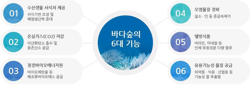 바다숲 6대 기능 01.수산생물 서식처 제공 02.온실가스 저감 03.청정바이오 에너지 지원 04.오염물질 강화 05.웰빙식품 06. 유용기능성 물질 공급